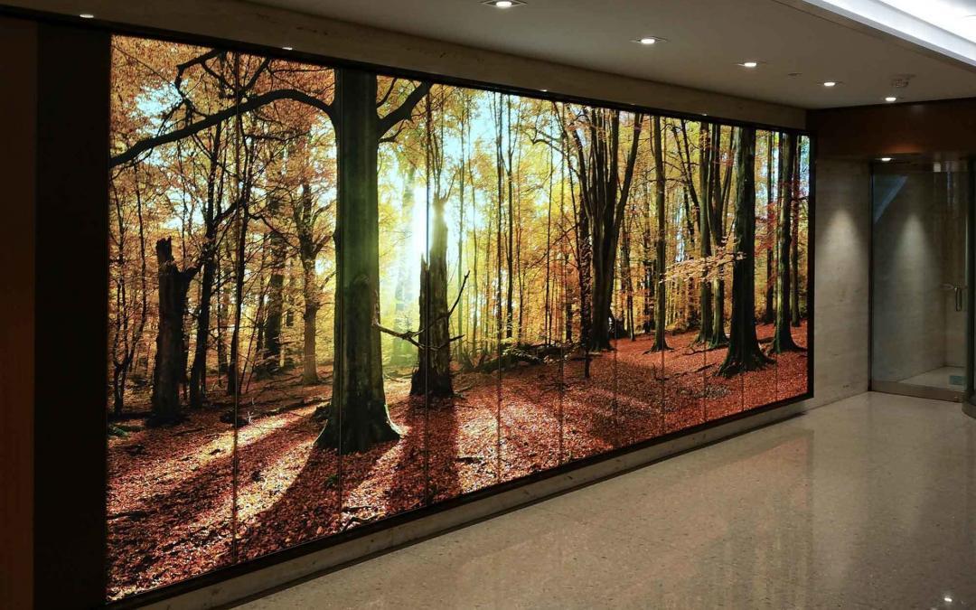 Light Boxes: Brighten Your Space With Style And Functionality