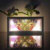 71_3.jpg Inuyasha Sesshomaru Light Box