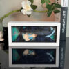 Demon-Slayer-Muichiro-Tokito-anime-light-box-off-myanimelightbox.jpg Demon Slayer Muichiro Tokito Light Box