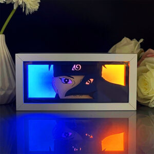 IMG_17672.jpg Shisui Light Box Special Edition