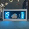 IMG_2466.jpg Genshin Impact Yelan Light Box