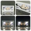 IMG_2756.jpg One Piece Monkey D. Luffy Light Box