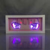 IMG_8226.jpg Darling in The Franxx Zero Two Eyes Light Box