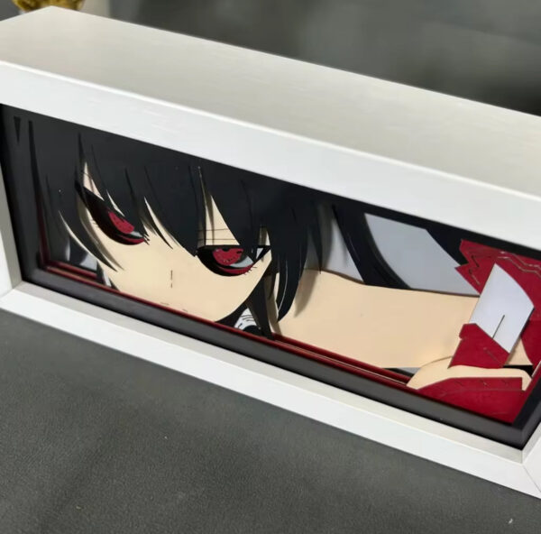 IMG_8505.jpg Akame Ga Kill Light Box