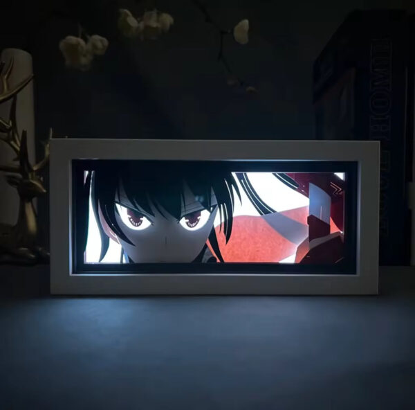 IMG_8507.jpg Akame Ga Kill Light Box