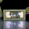 IMG_9564_1.jpg Genshin Impact Albedo Light Box