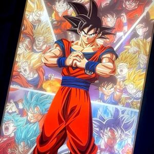 Dragon Ball Xenoverse 2 Light Frame