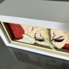 IMG_9681.jpg Dr Stone Light Box