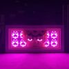 Jojo-Bizarre-Adventure-Giorno-anime-light-box-glowing-darkroom-myanimelightbox.jpg Jojo's Bizarre Adventure Giorno Light Box