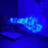 goku-kamehameha-led-light-neon-blue.jpg Goku Anime Lamp – Mega Version